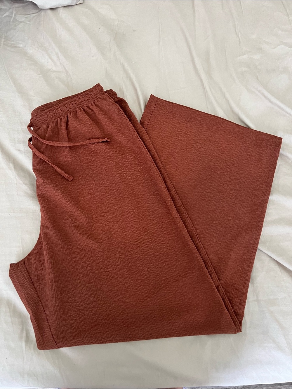 H&M Wide Leg Pants in Rust